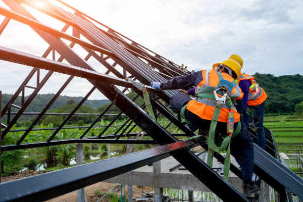 Roof Gutter Cleaning in Brookville, NY