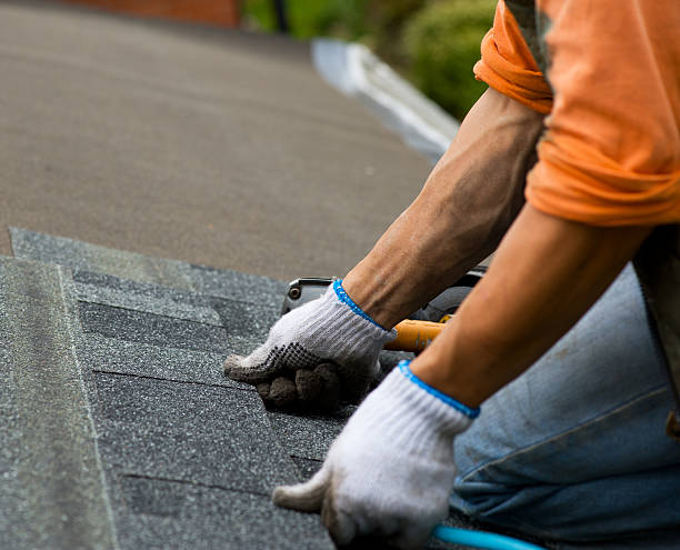 Best Roof Gutter Cleaning  in Brookville, NY