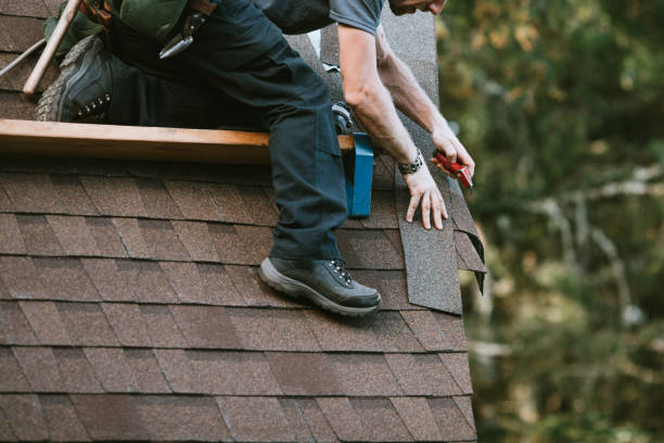 Best Roof Gutter Cleaning  in Brookville, NY